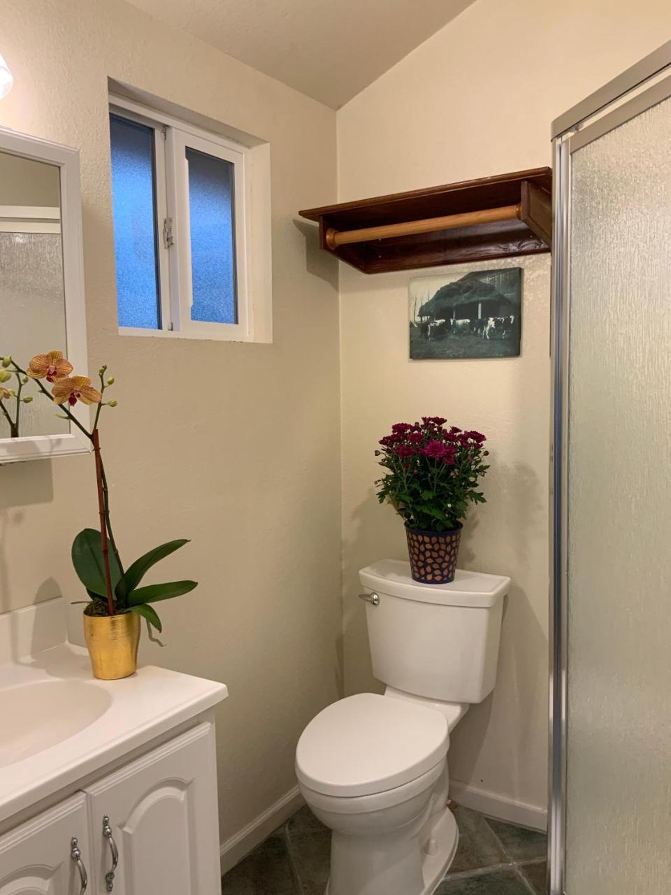 The Woods Hotel - Gay Lgbtq Cabins Guerneville Extérieur photo